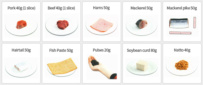 Pork 40g (1 slice) / Beef 40g (1 slice) / Hams 50g / Mackerel 50g / Mackerel pike 50g / Hairtail 50g / Fish Paste 50g / Pulses 20g / Soybean curd 80g / Natto 40g