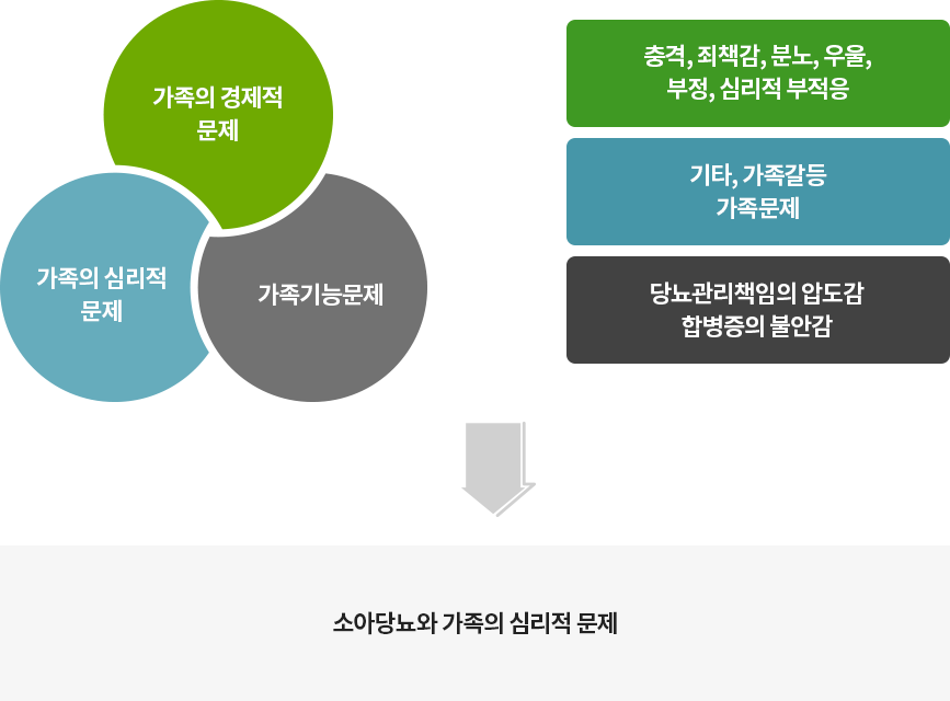 가족의 경제문제/가족기능문제/가족의 심리적 문제 + 충격, 죄책감, 분노, 우울, 부정, 심리적 부적응/당뇨관리책임의 압도감, 합병증의 불안감 / 기타, 가족갈등 가족문제 = 소아당뇨와 가족의 심리적 문제