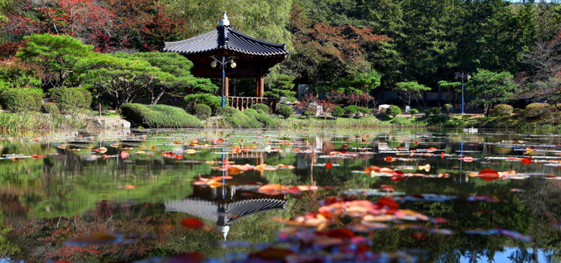 경주