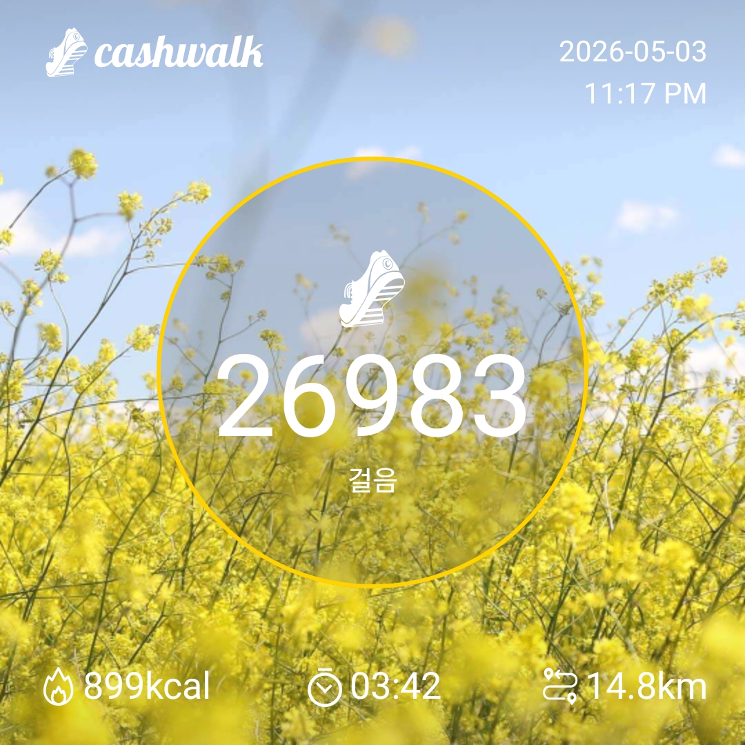  6.5km 걷기 캠페인 