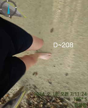 6.5km 걷기 캠패인