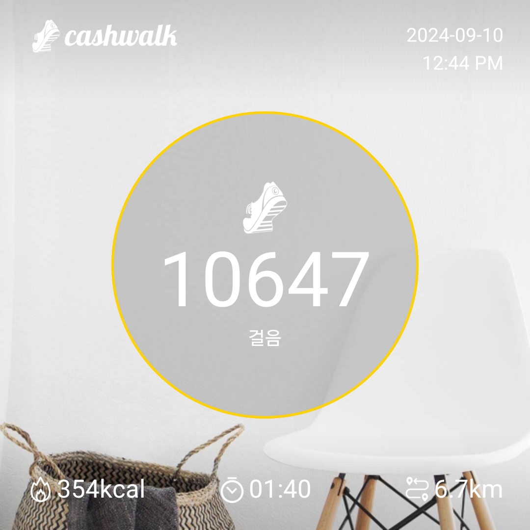 6.5km 걷기 이벤트