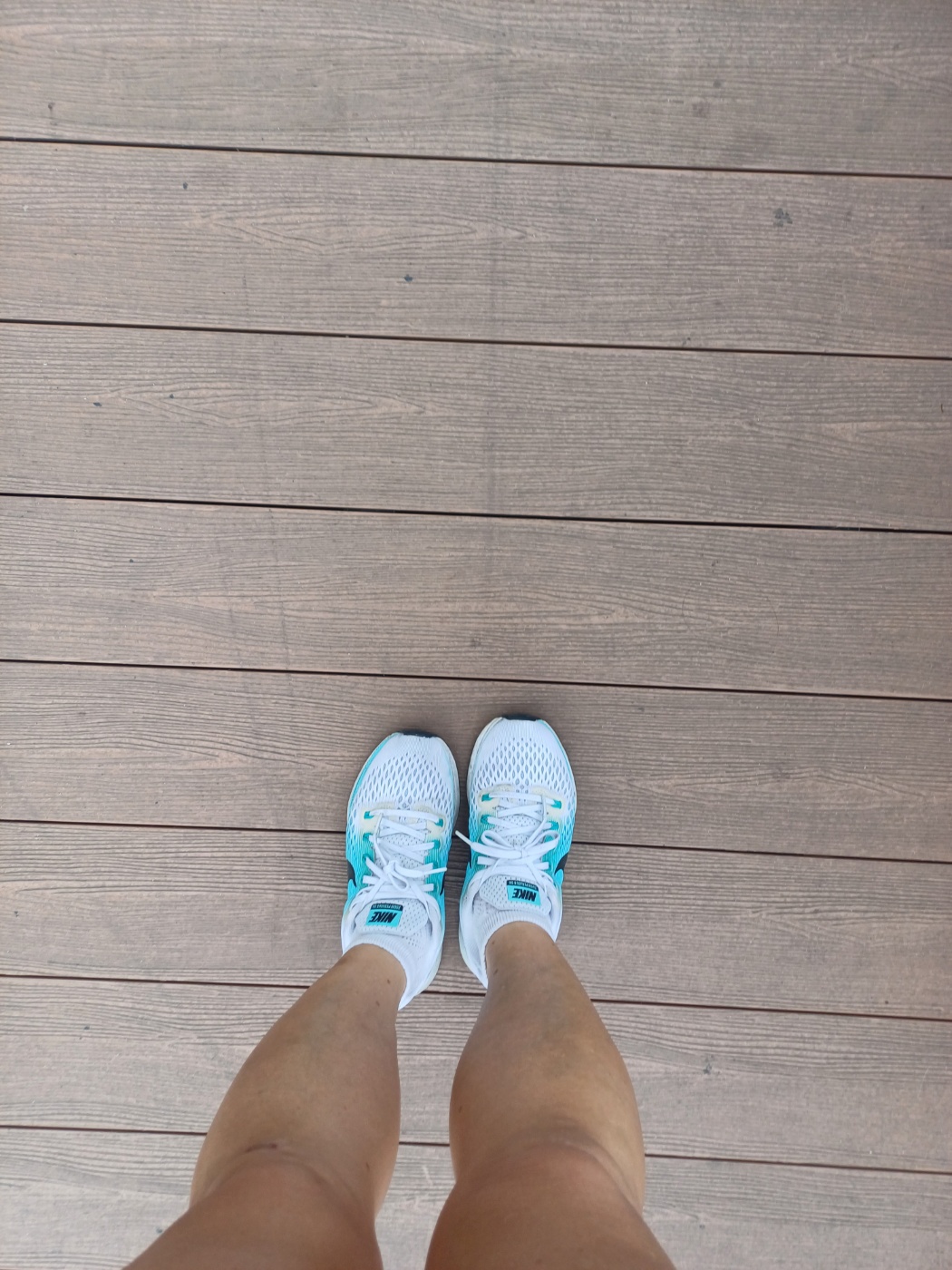 6.5km 걷기 ㅣ캠페인