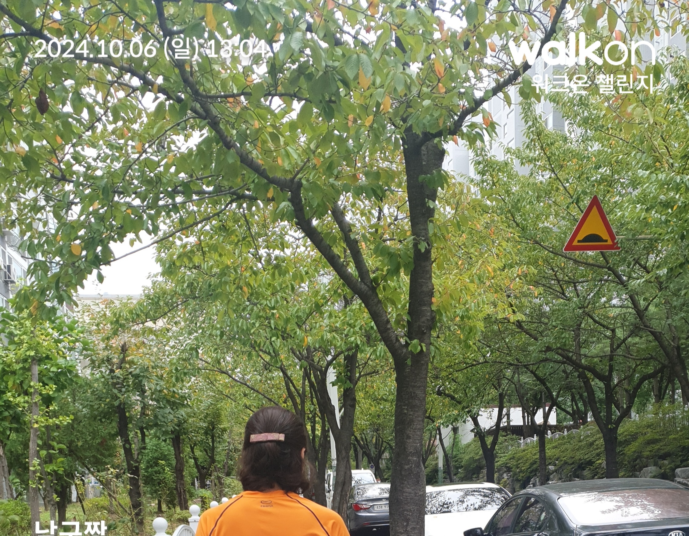 6.5km 걷기 캠패인 덕분에 매일 실천해요