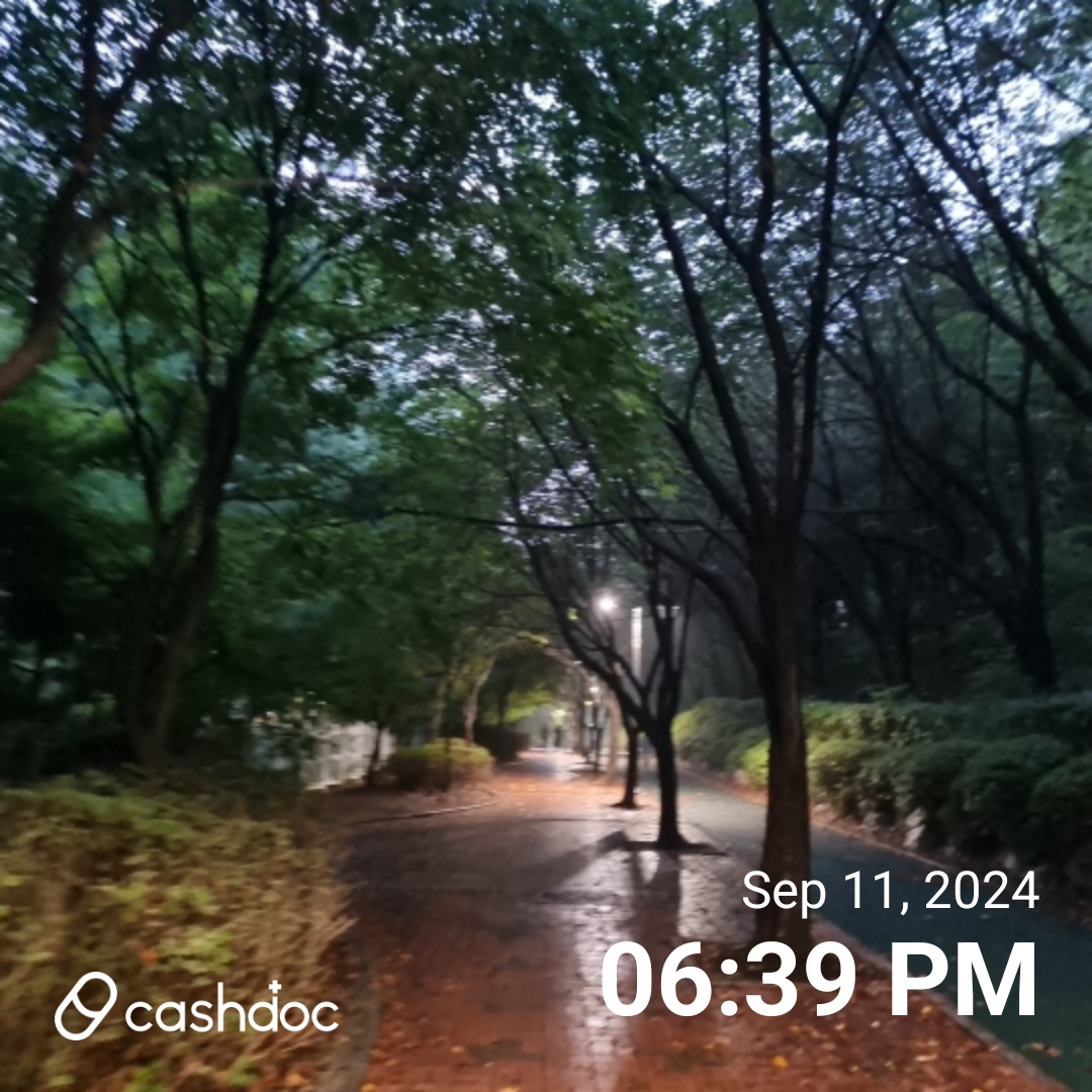 6.5km걷기캠페인