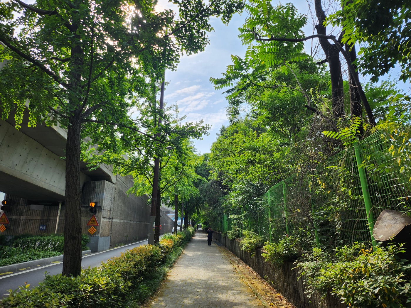 [6.5km 걷기 캠페인] 푸르름을 만끽하며 걸어서 출근!!