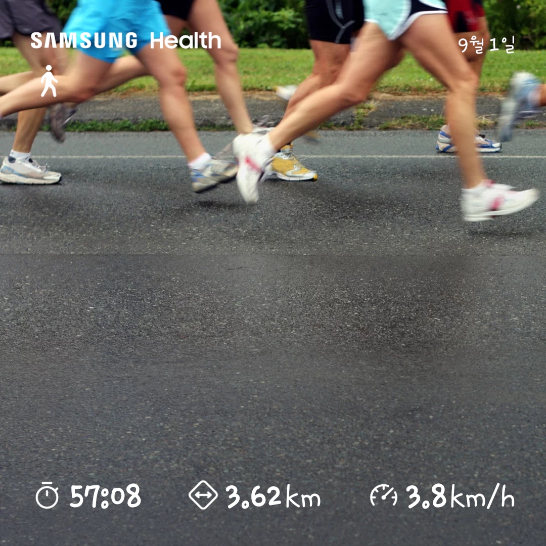 6.5km걷기캠페인