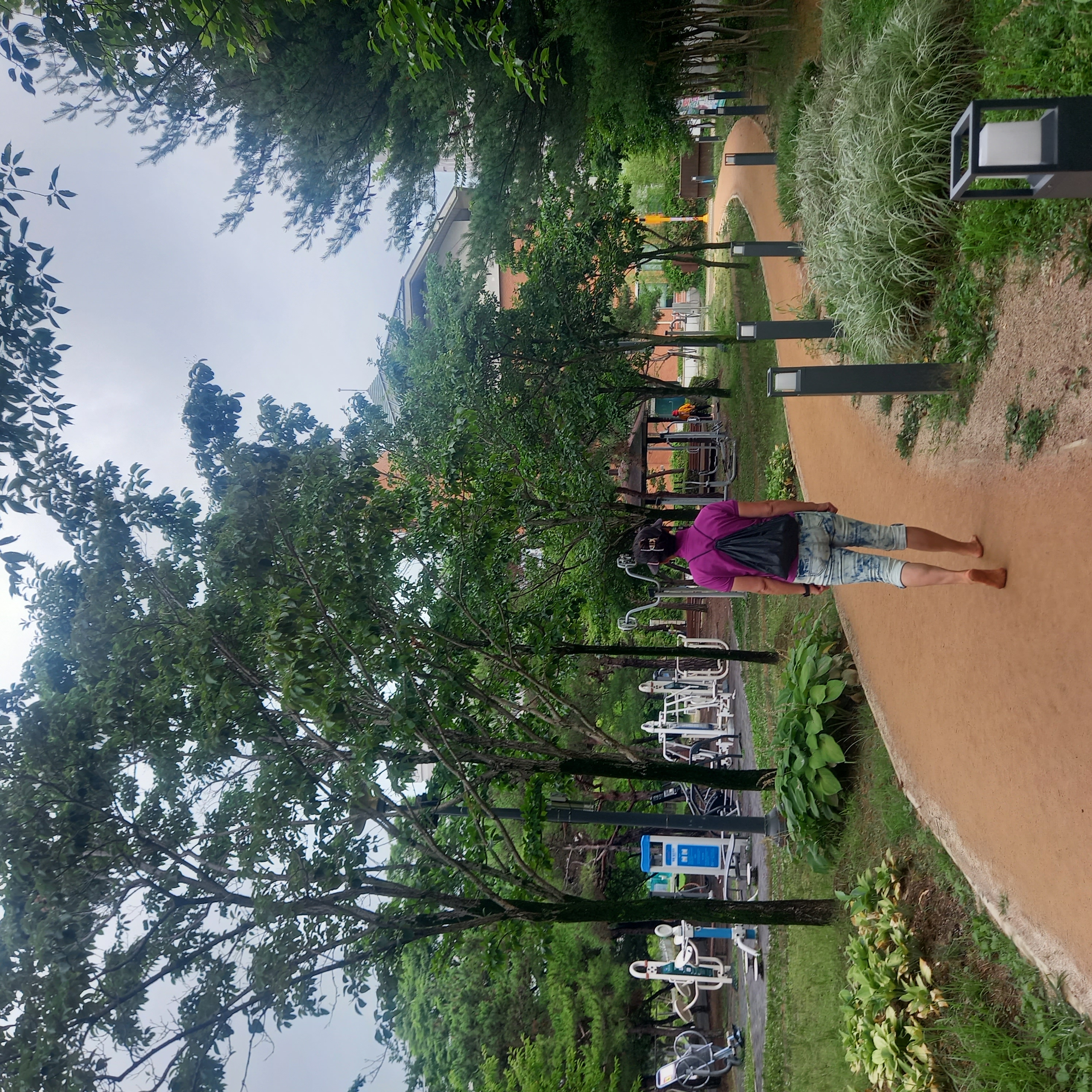 6.5km걷기캠페인