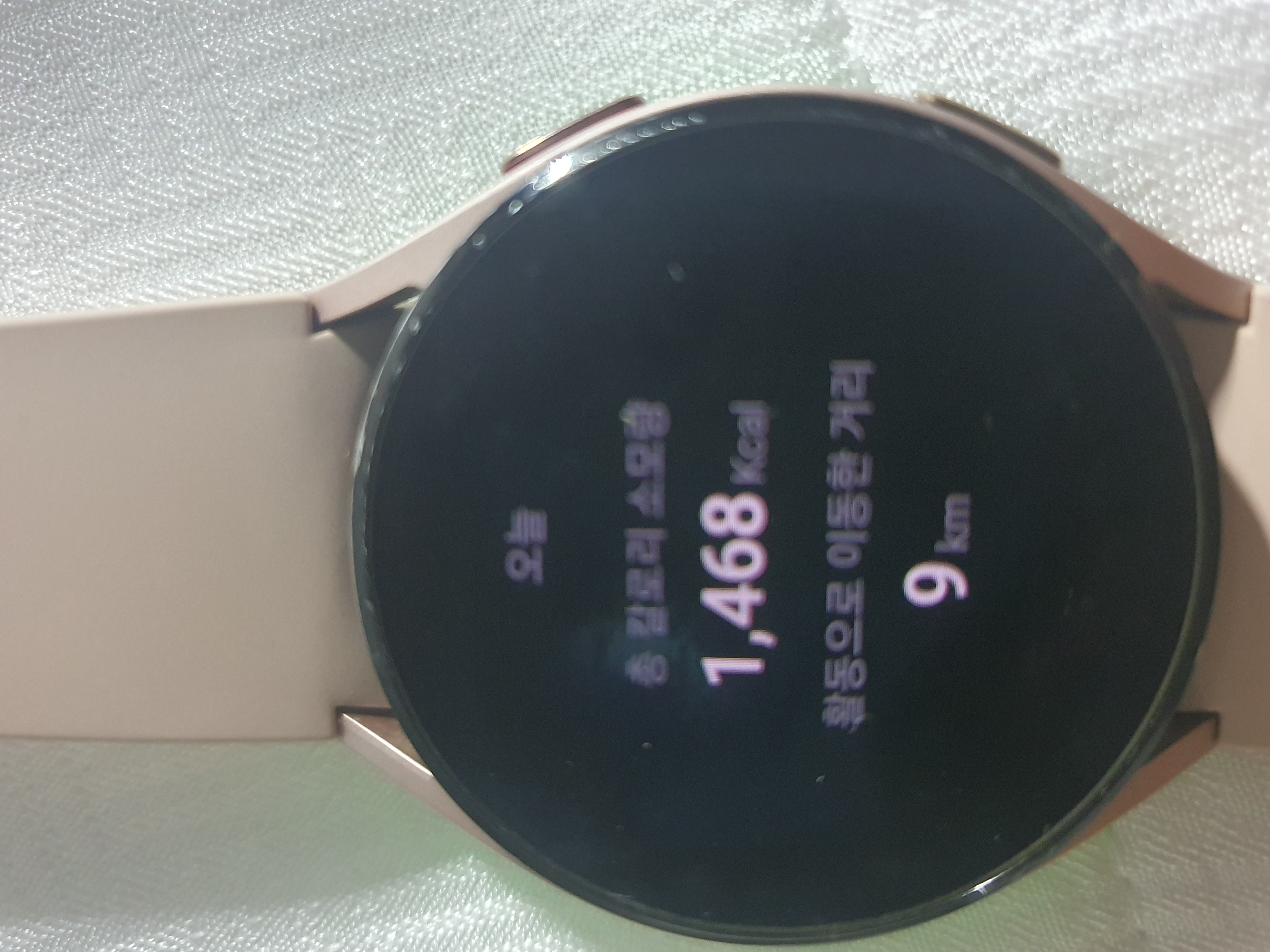 [6.5km 걷기 캠페인]