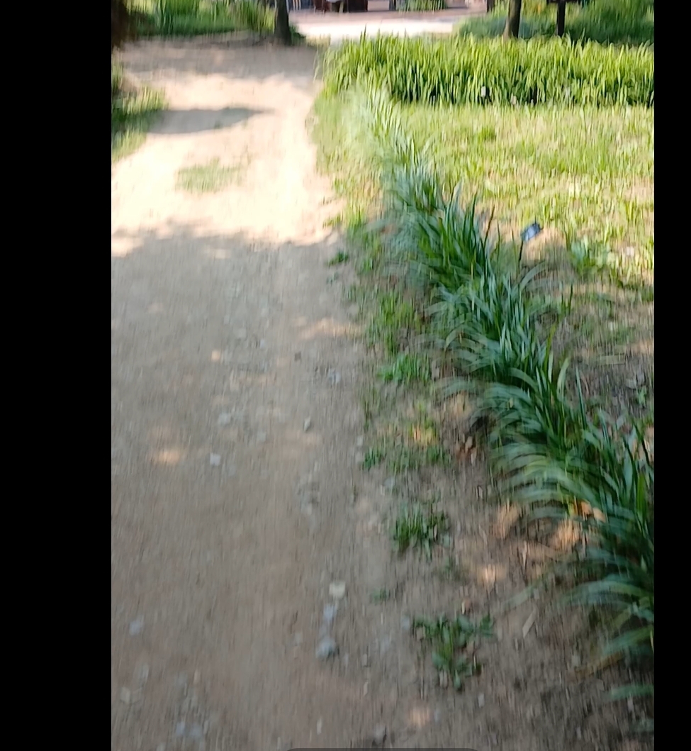 6.5km걷기