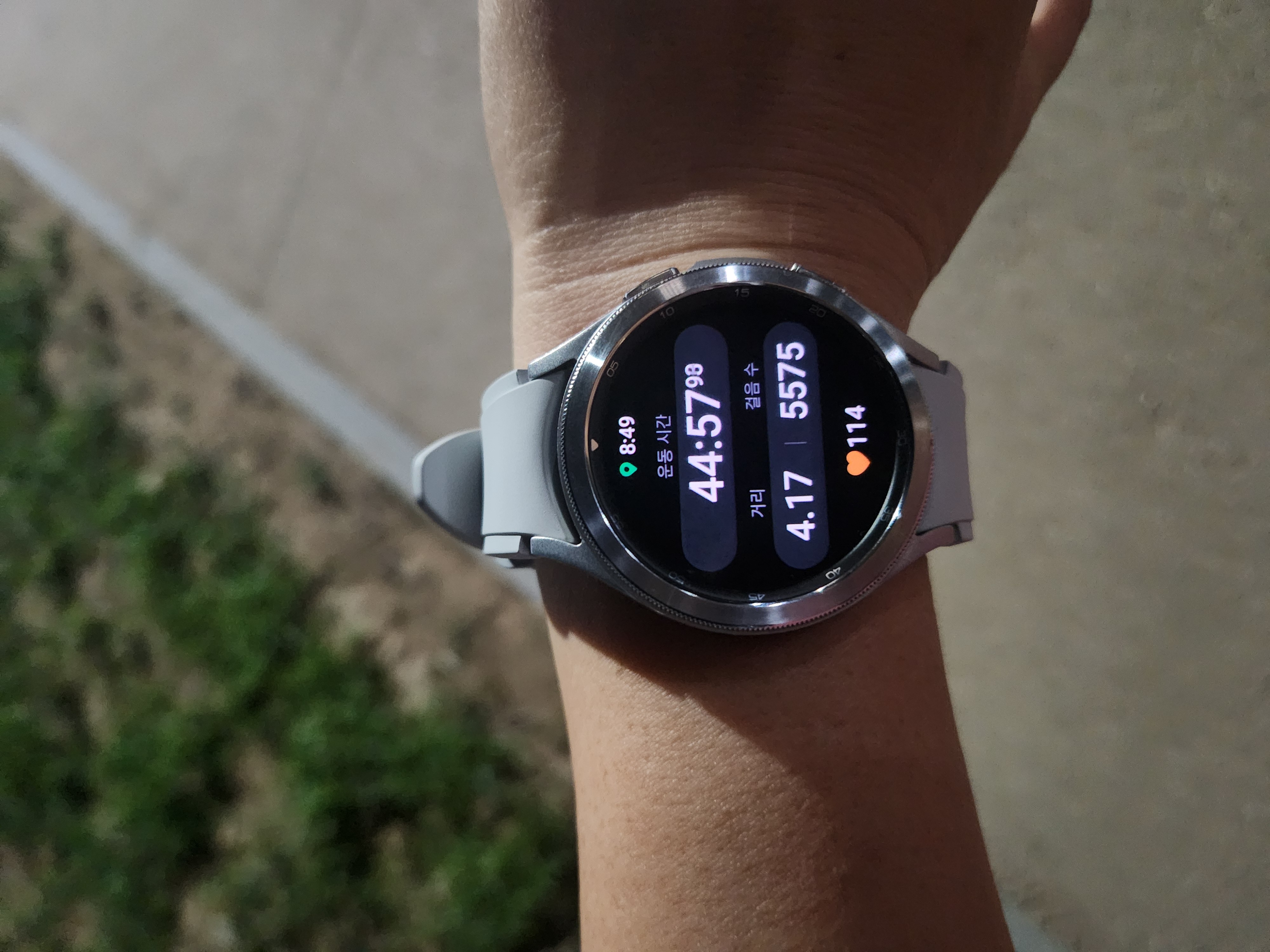 6.5km 걷기캠페인