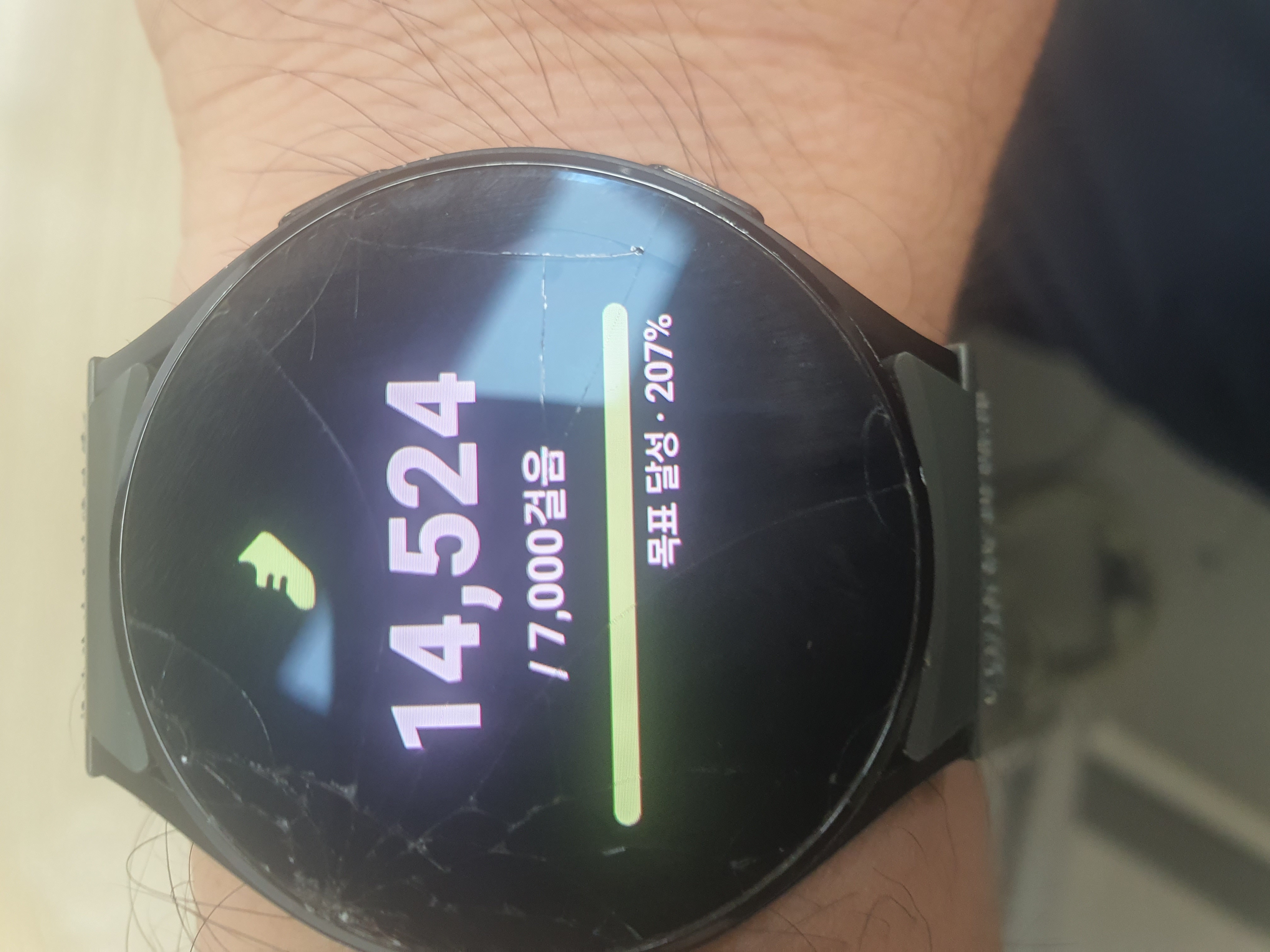 6.5km걷기캠페인