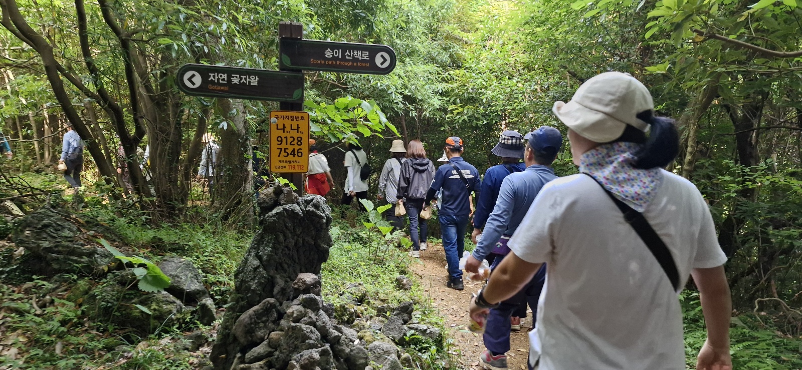 [6.5km걷기캠페인] 놀멍 쉬멍 걸으멍