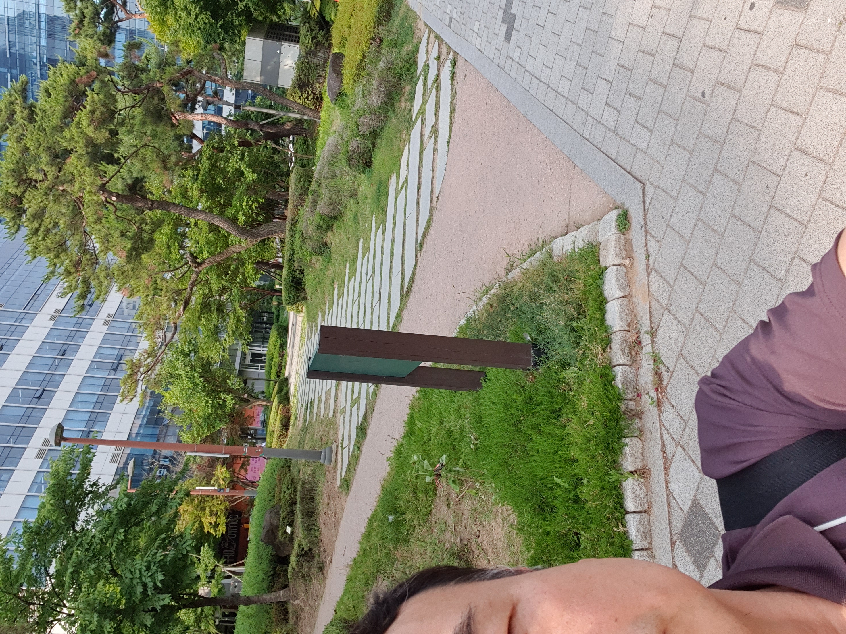 [6.5km걷기캠페인]  인증