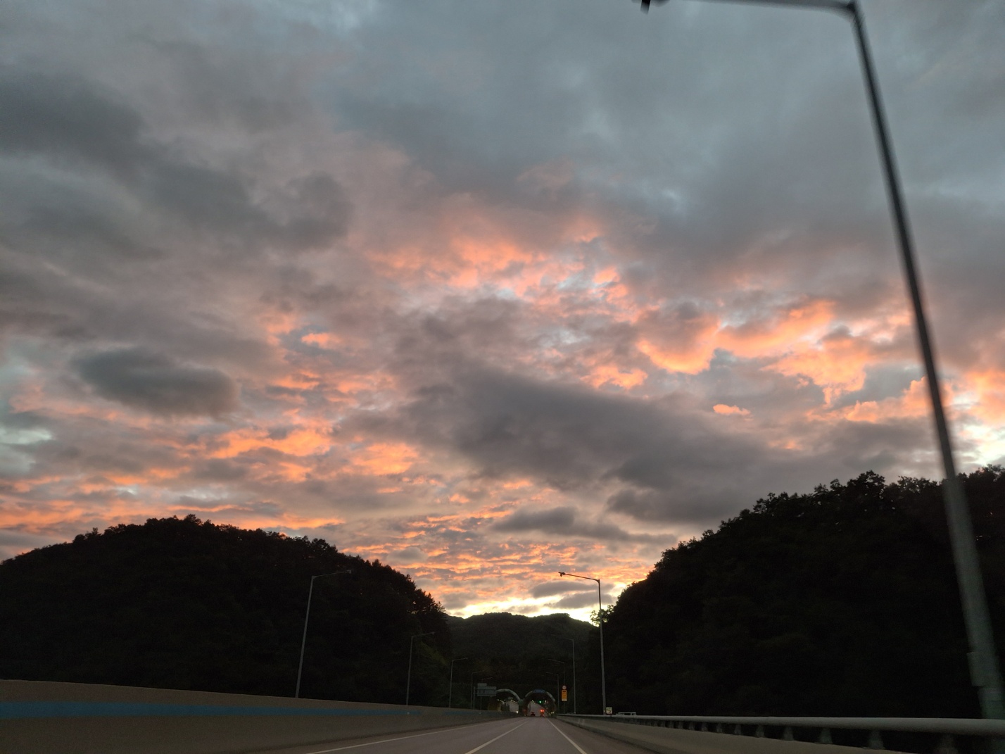 6.5km걷기 캠페인 
